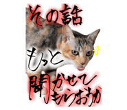 795790660