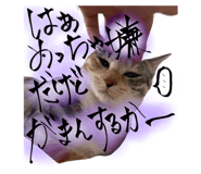 795790665