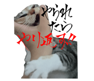795790673