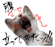 795790674