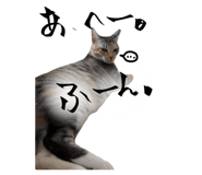 795790680