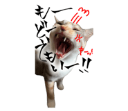 795790686
