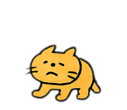 795790851