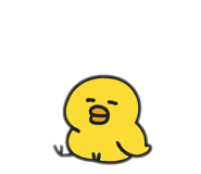 795790876