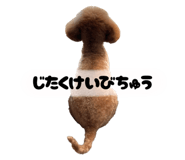 795793680