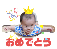 795804032