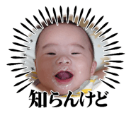 795804041