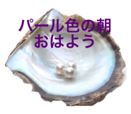 795805489