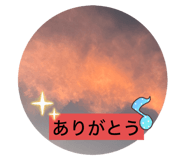 795805490