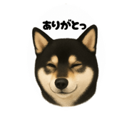 795805717