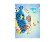795809490