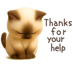795815343