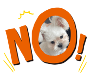 795815972