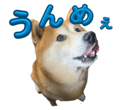 795837869