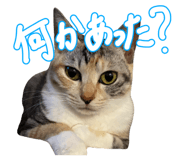 795839010