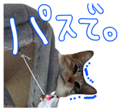 795839013