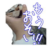 795839015