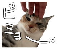 795839019