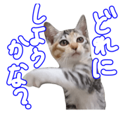 795839025