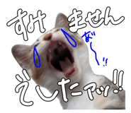 795839035