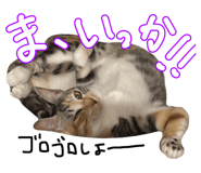 795839038