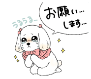 795850447