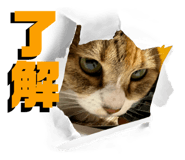 795851352