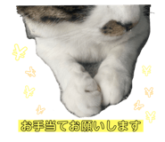 795853276