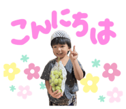 795855208