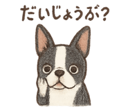 795868772
