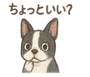 795868781