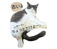795873373