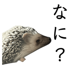 795875351