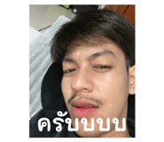 795883733