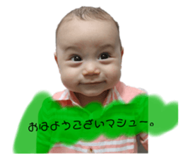 795886497