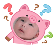 795886645