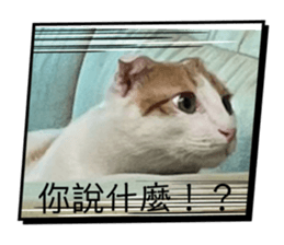 795887400