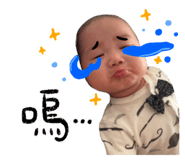 795887493