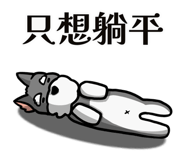 795902061