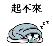795902066
