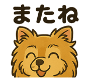 795911427