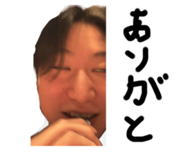 795929544