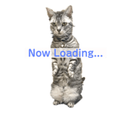 795935258