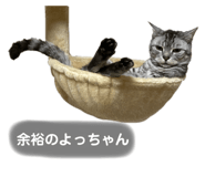 795935261