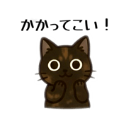 795985068