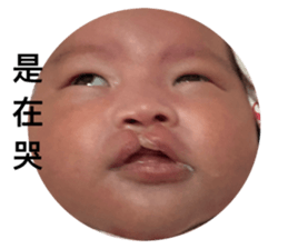 795985244