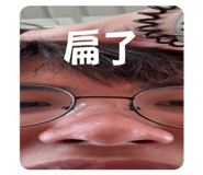 795991191