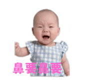 795995613