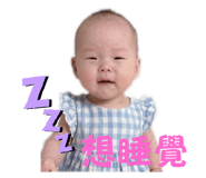 795995614