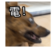 795997558